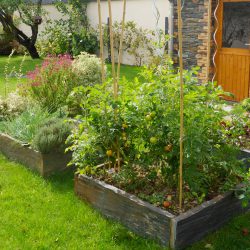 Ils sèment, ils plantent et vous récoltez